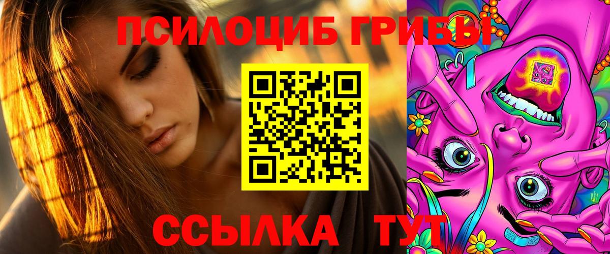 Жигулёвск  где продают наркотики  Вход с VPN  Псилоцибиновые грибы Magic Shrooms 