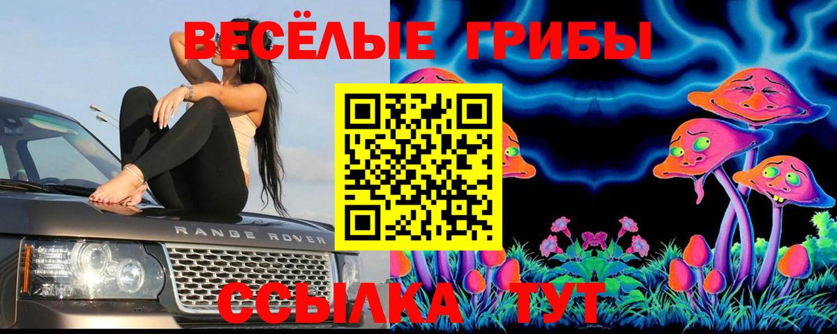 Галлюциногенные грибы ЛСД Жигулёвск