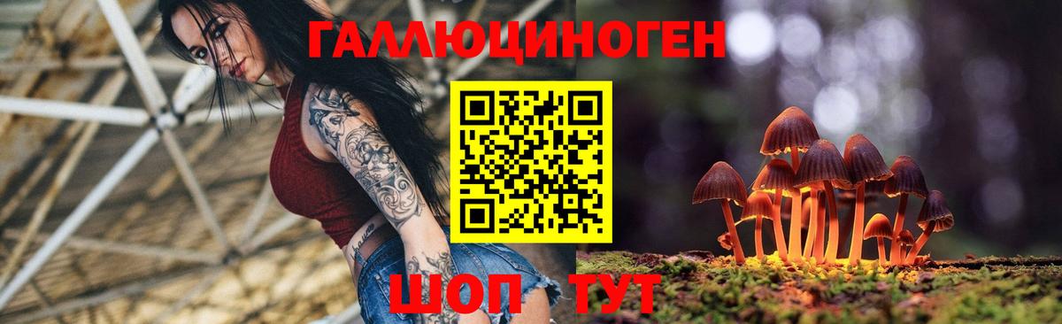 Галлюциногенные грибы Cubensis Жигулёвск